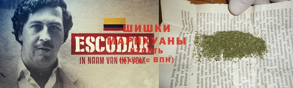 МДПВ Бронницы