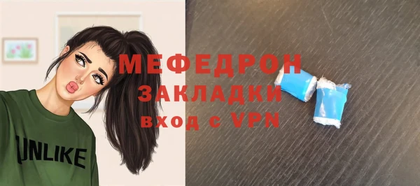 мдпв Бородино