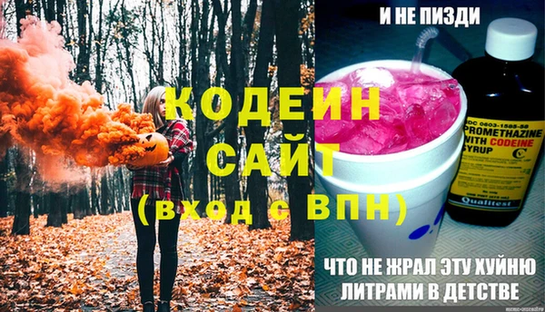 мдпв Бородино