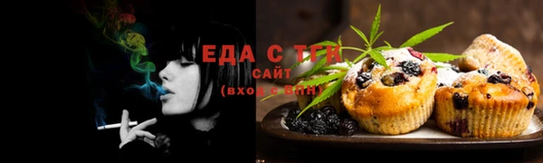 мдпв Бородино