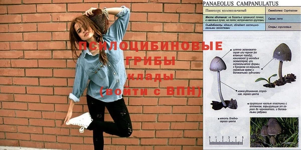 МДПВ Бронницы