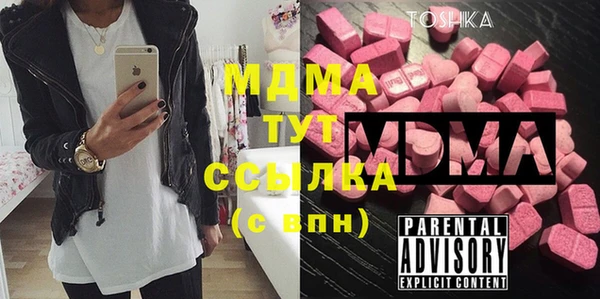 мдпв Бородино