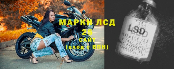 мдпв Бородино