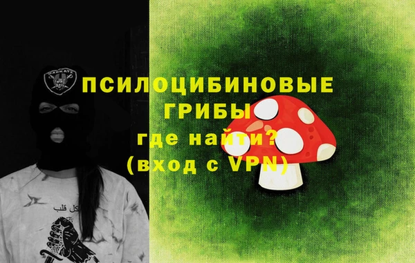 мдпв Бородино