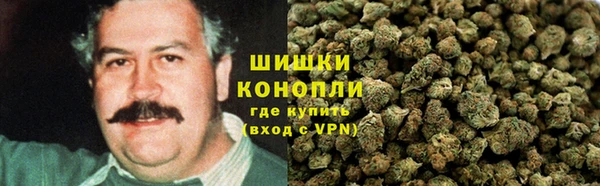 мдпв Бородино