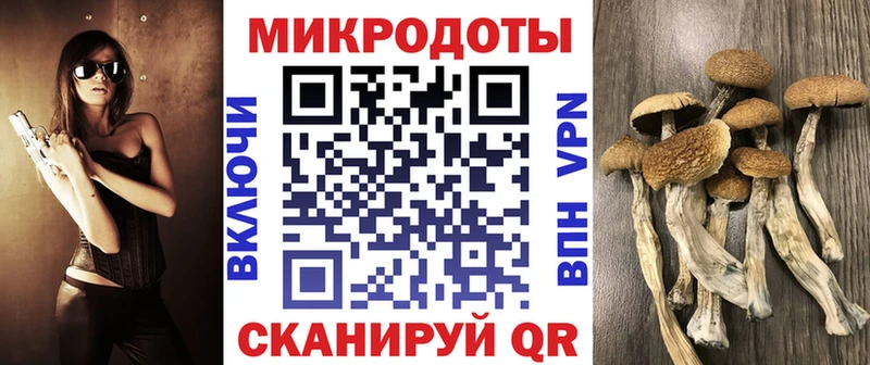 Купить где  Хасавюрт  Псилоцибиновые грибы мицелий 